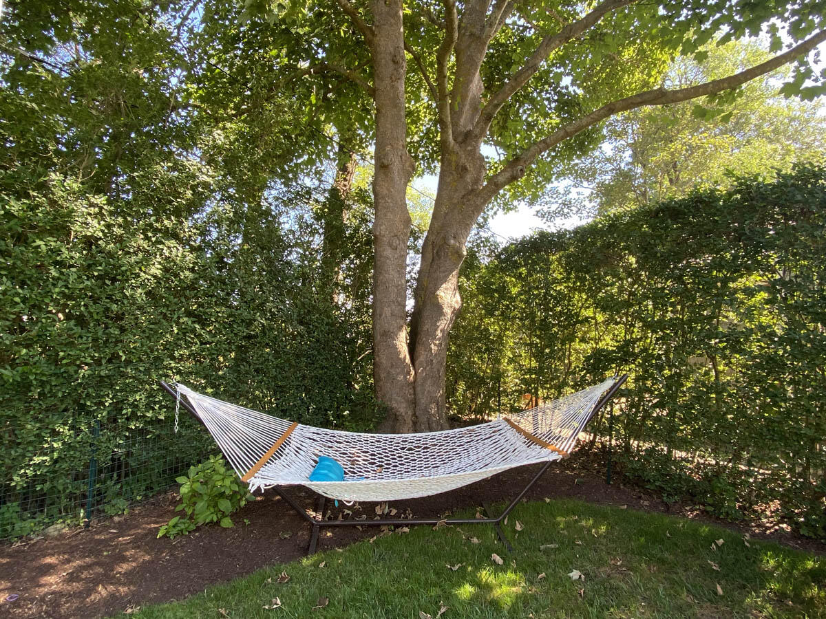 25 King Street photo 20