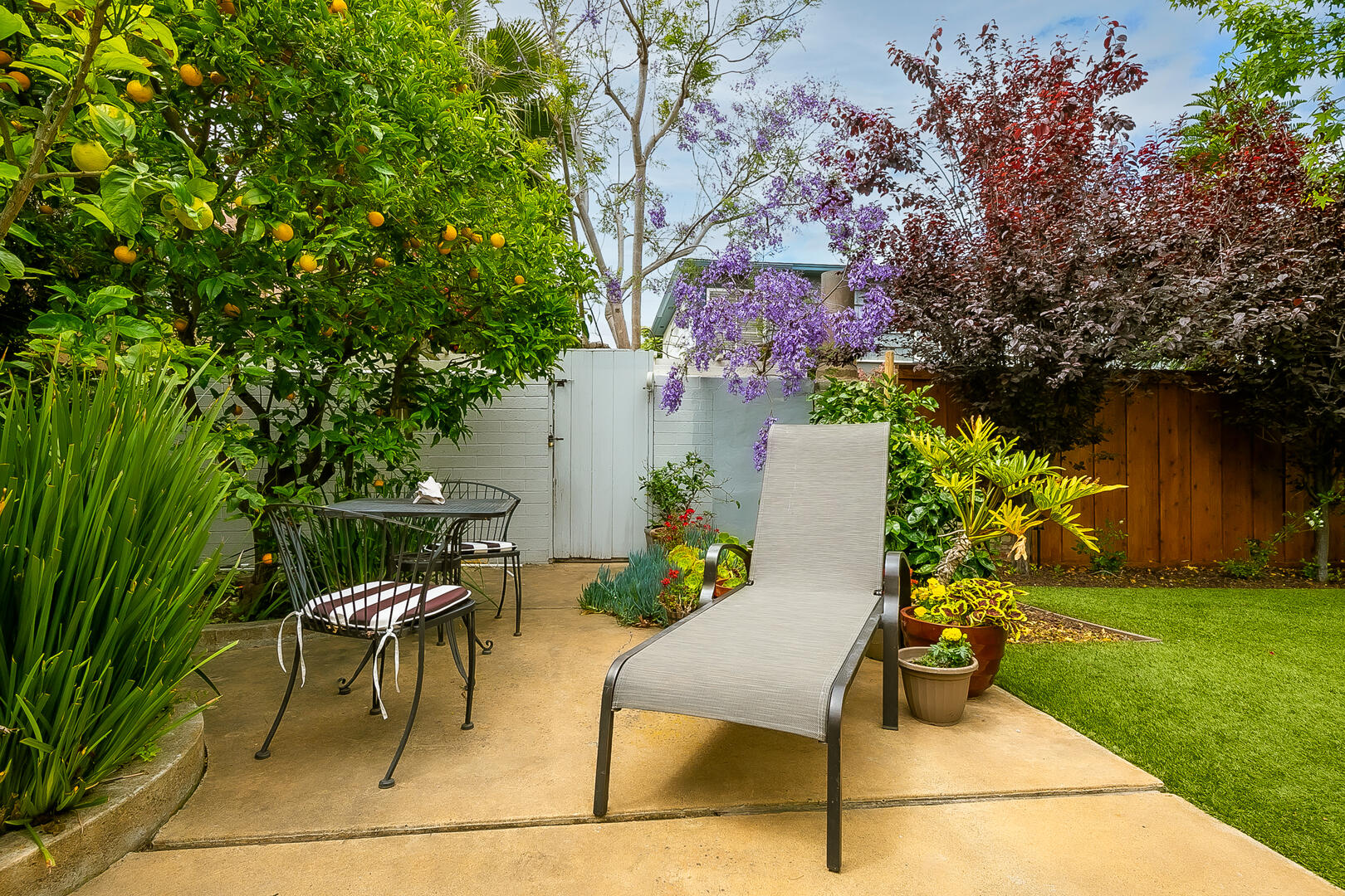 Sunny Gardens | Photo 35