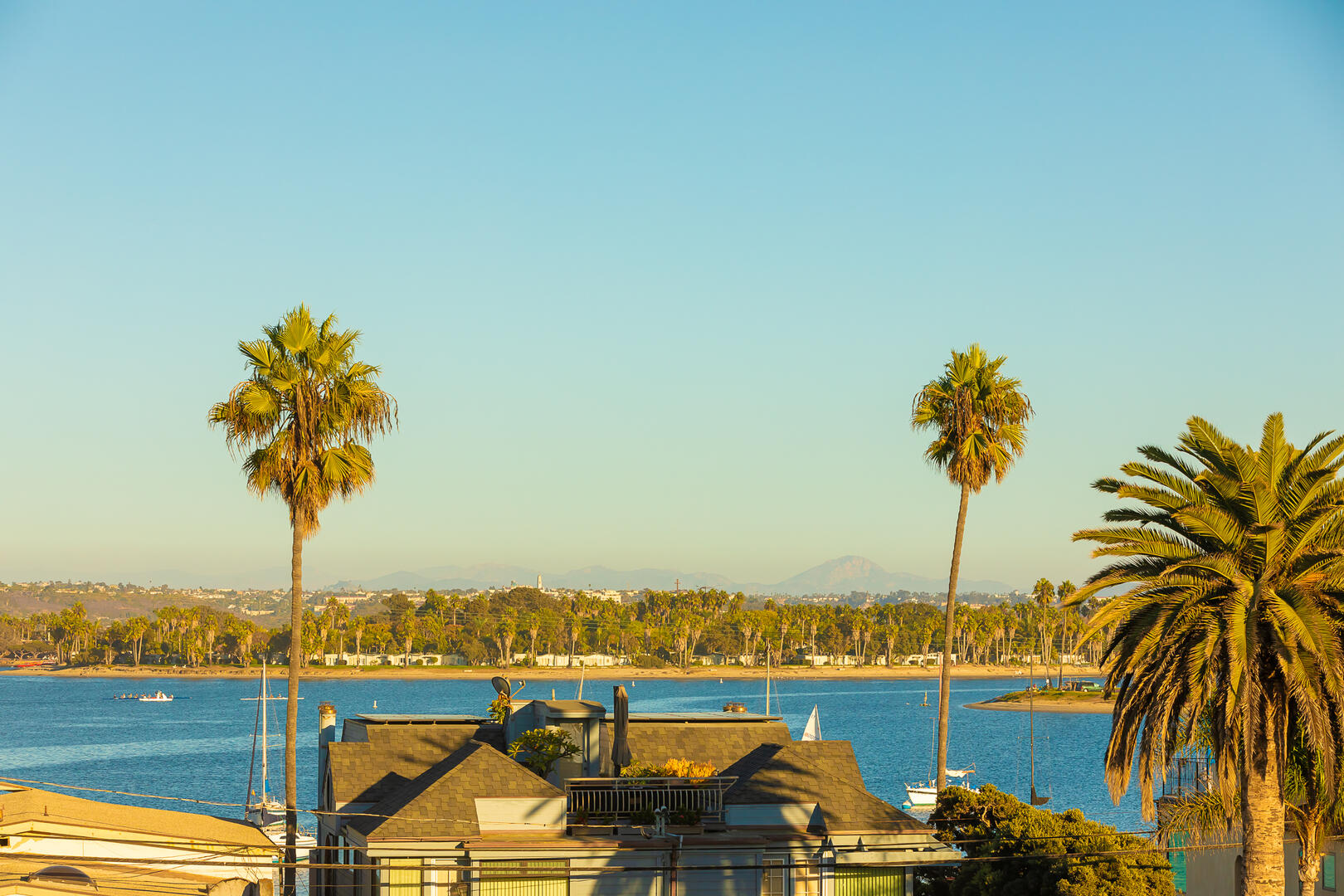 Rooftop Paradise | Photo 50