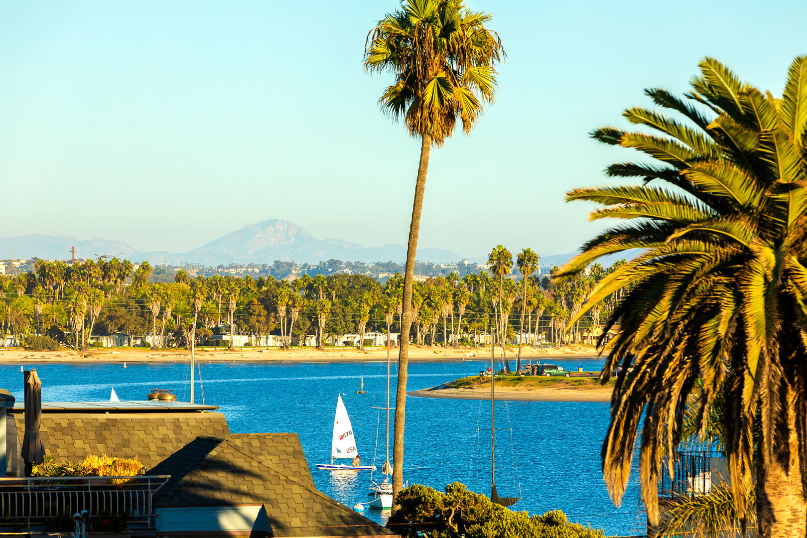 Rooftop Paradise | Photo 54