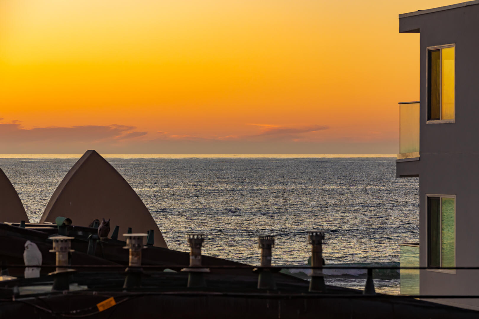 Rooftop Paradise | Photo 39