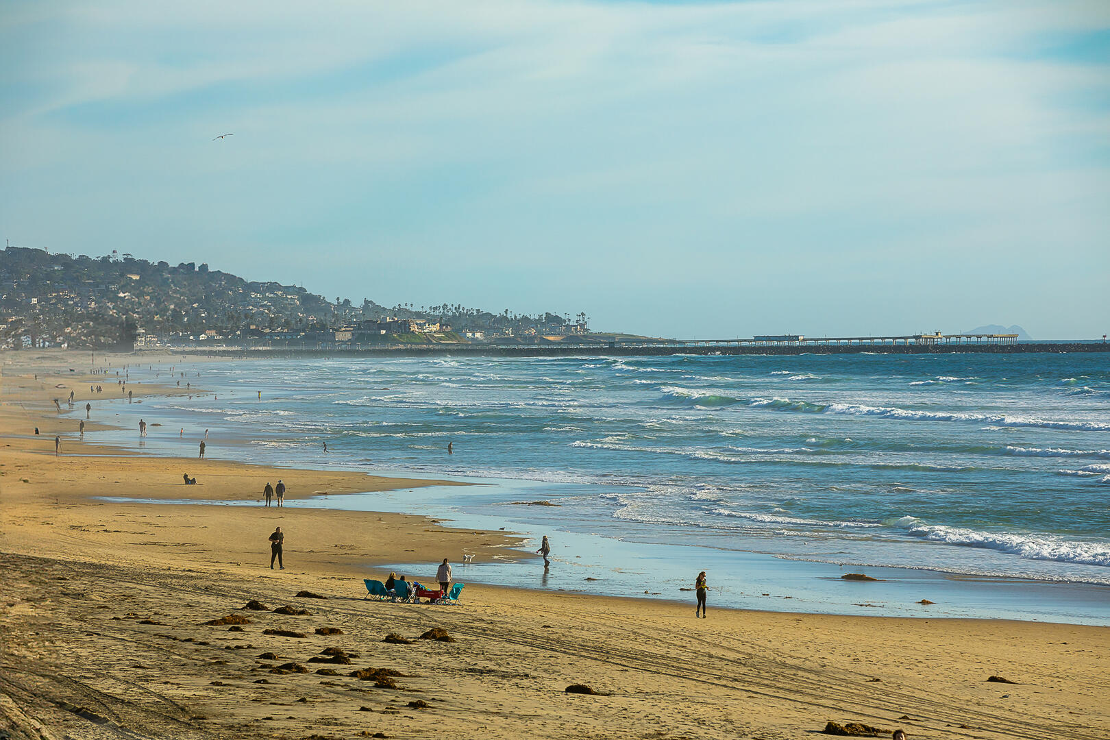 Vitamin Sea | Photo 50