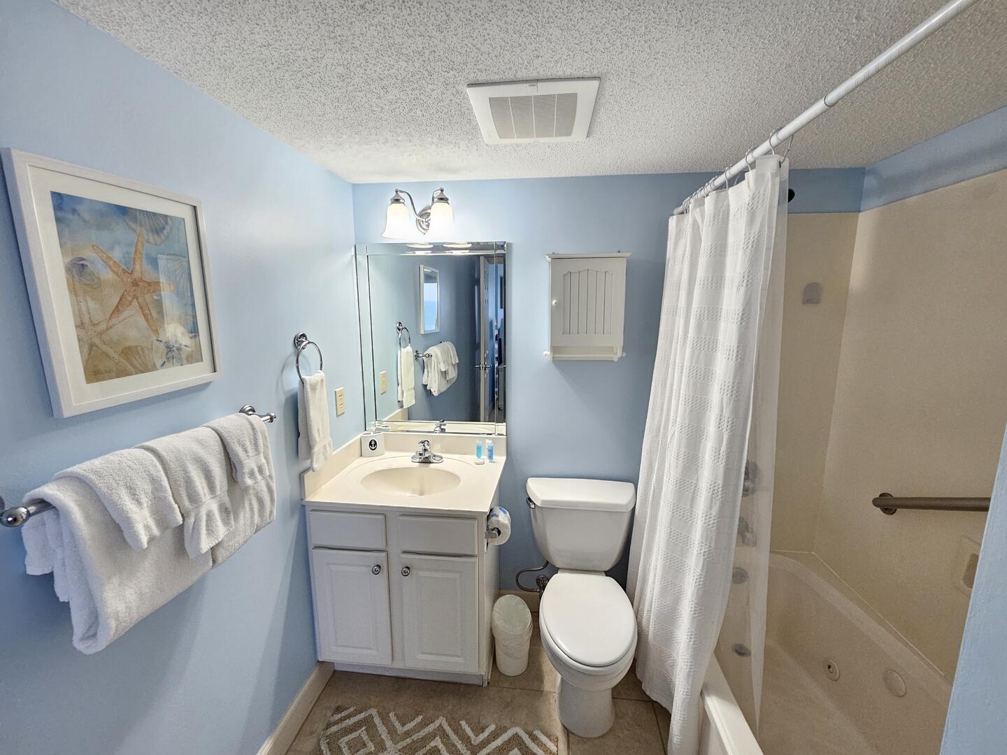 Master Bathroom w/Jetted Tub/Shower