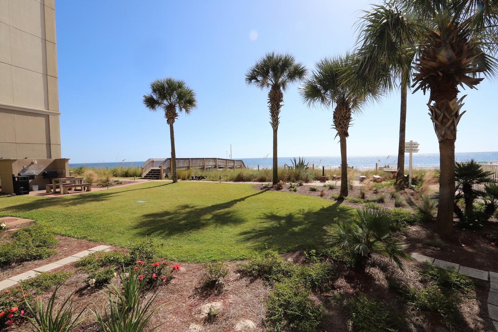 View from Patio