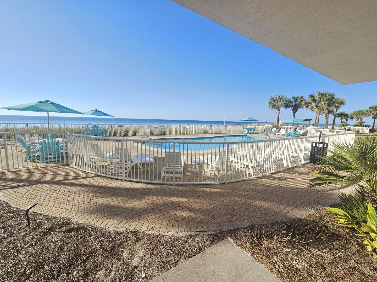 View from Patio