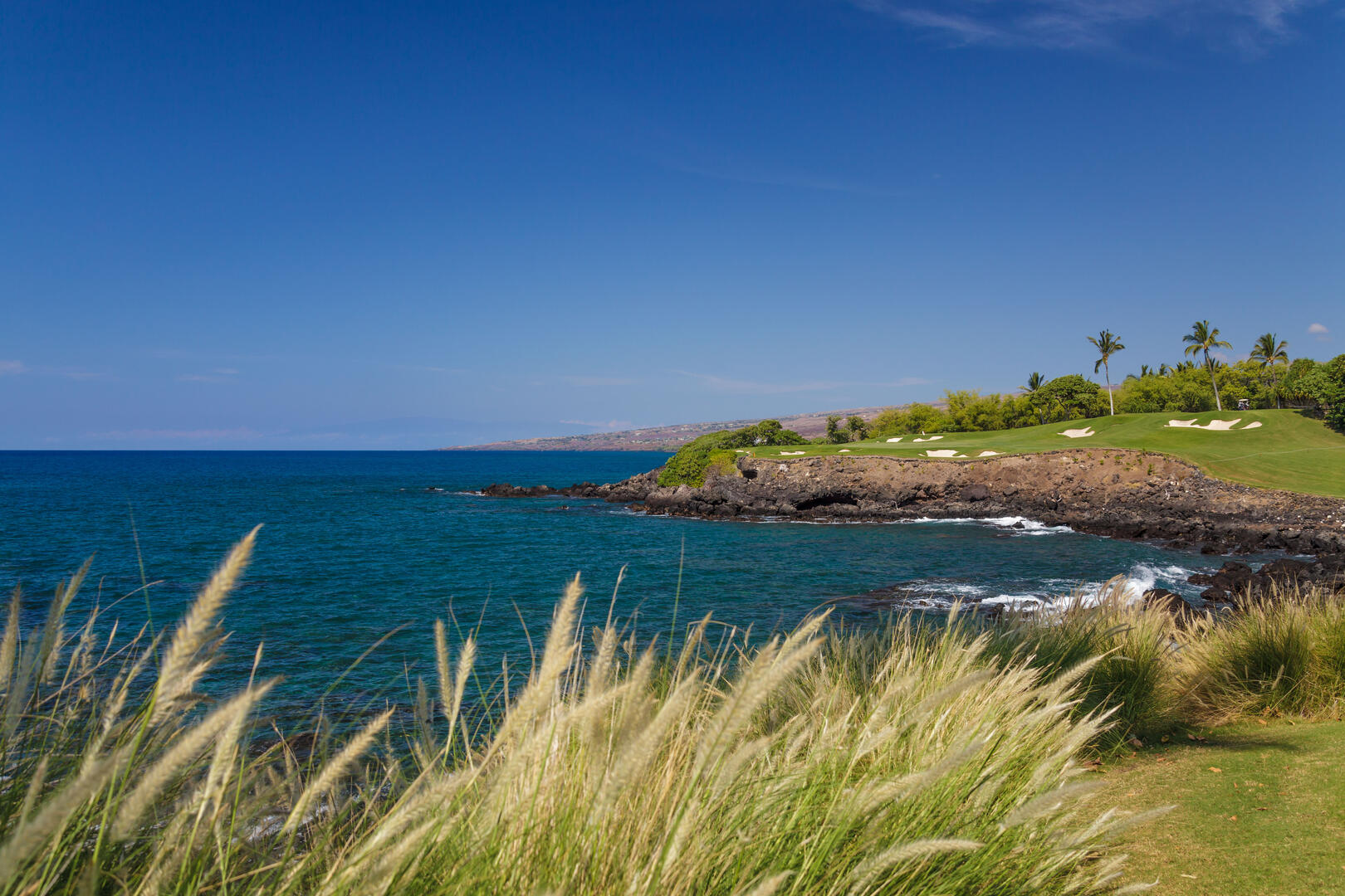 Panuanaula Ridge Wai'ula'ula Ridge H201 | South Kohala Management