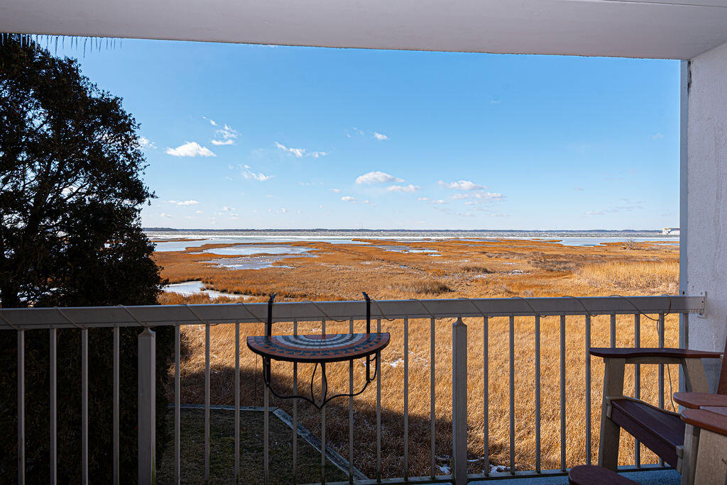 Triton's Trumpet A201 | Photo 2