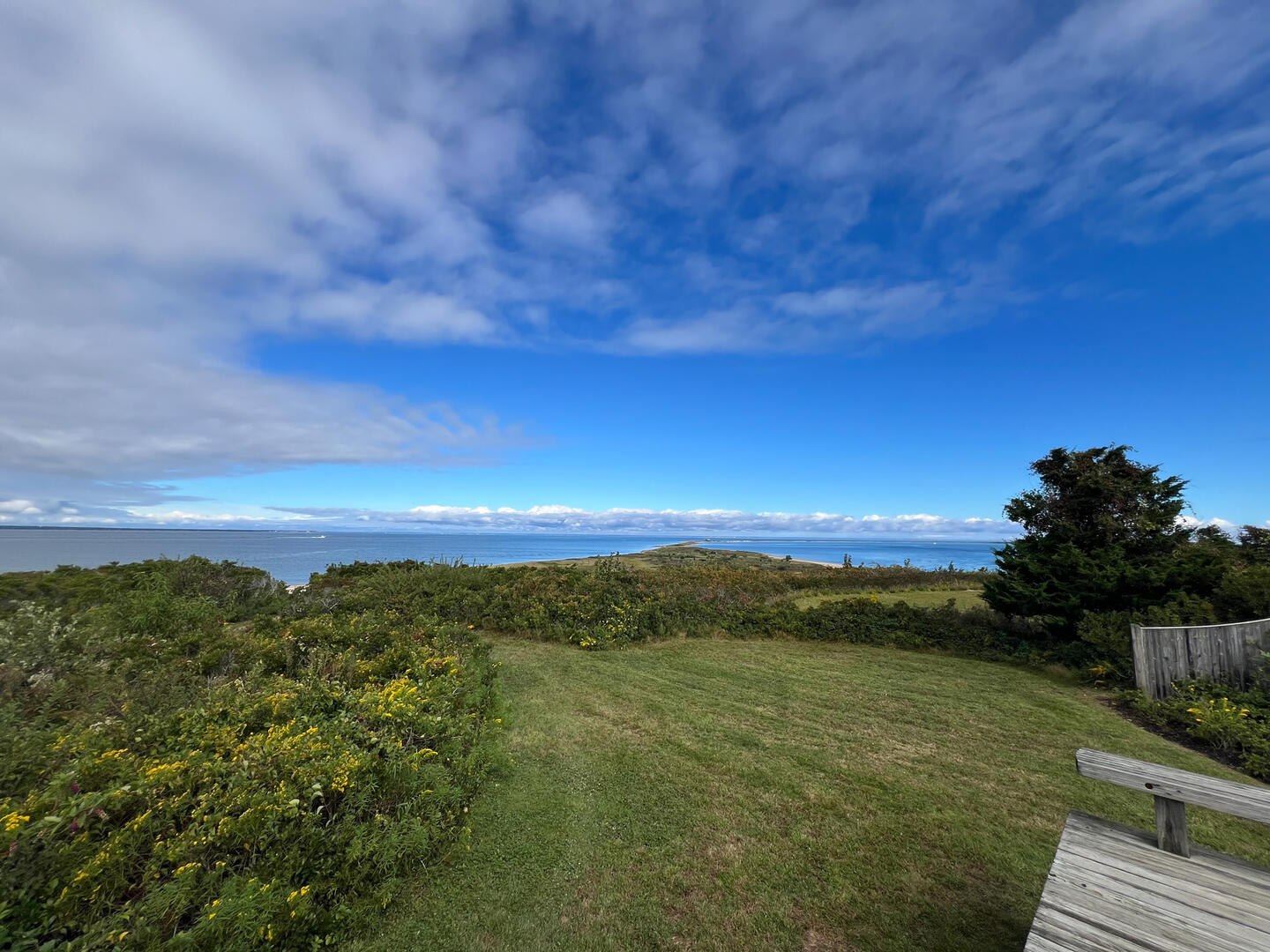 Back Deck View