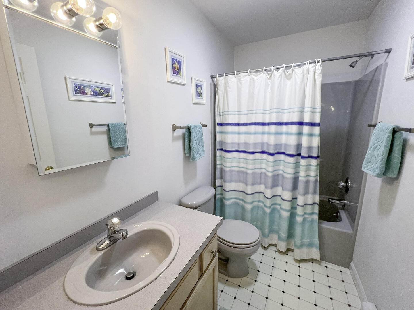 Hall Bath with Tub Shower Combo, Second Floor