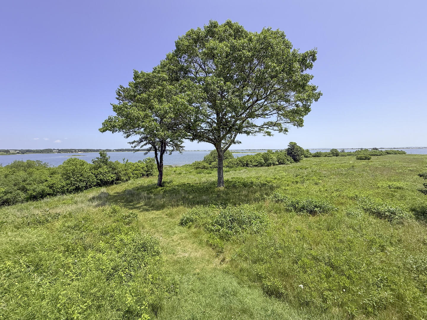 Path to Sengekontacket Pond Access
