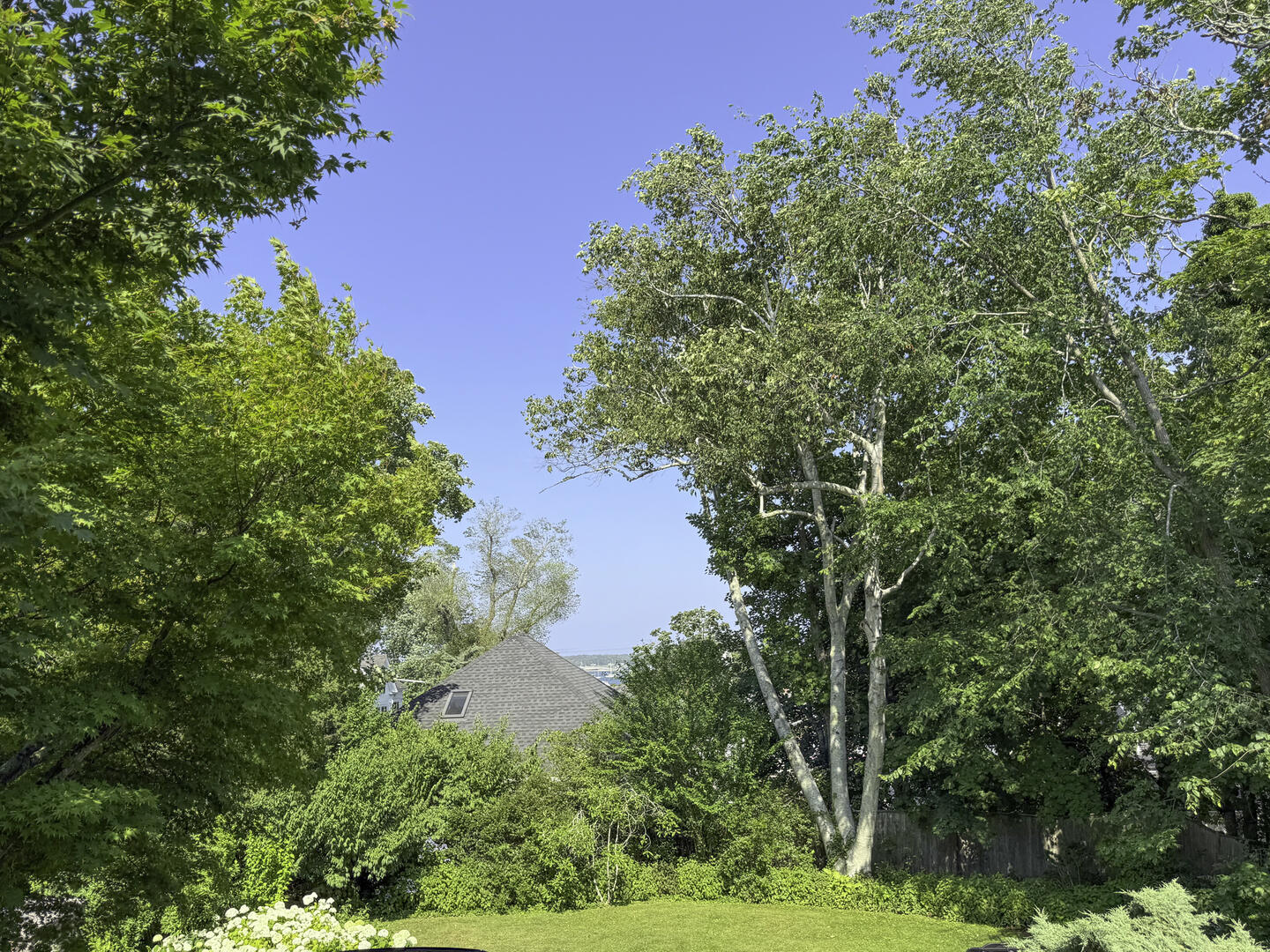 Waterview from First Floor Deck