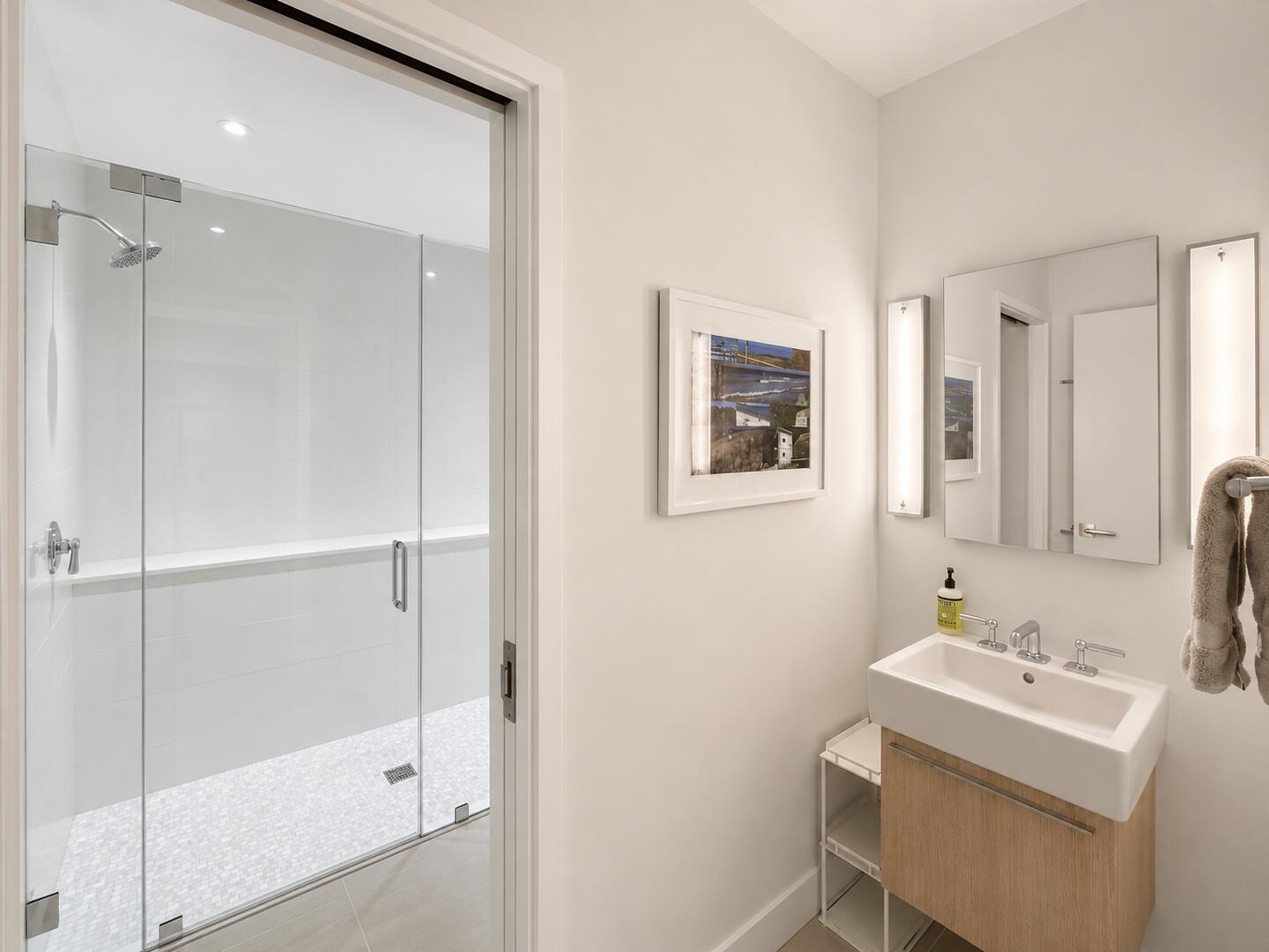 Hall Bath with a Shower Stall, Lower Level