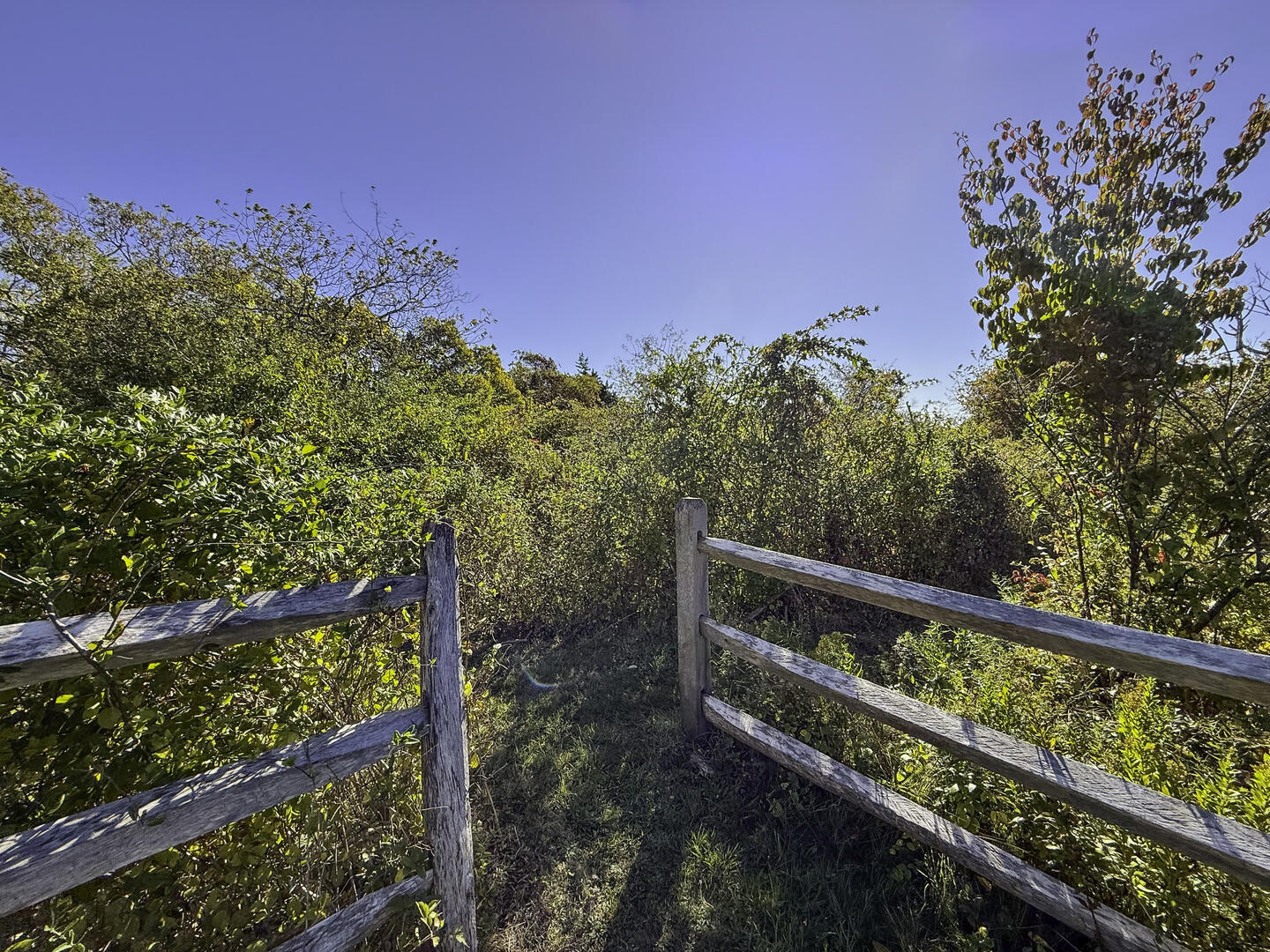 Path to the Shallow Water Dock