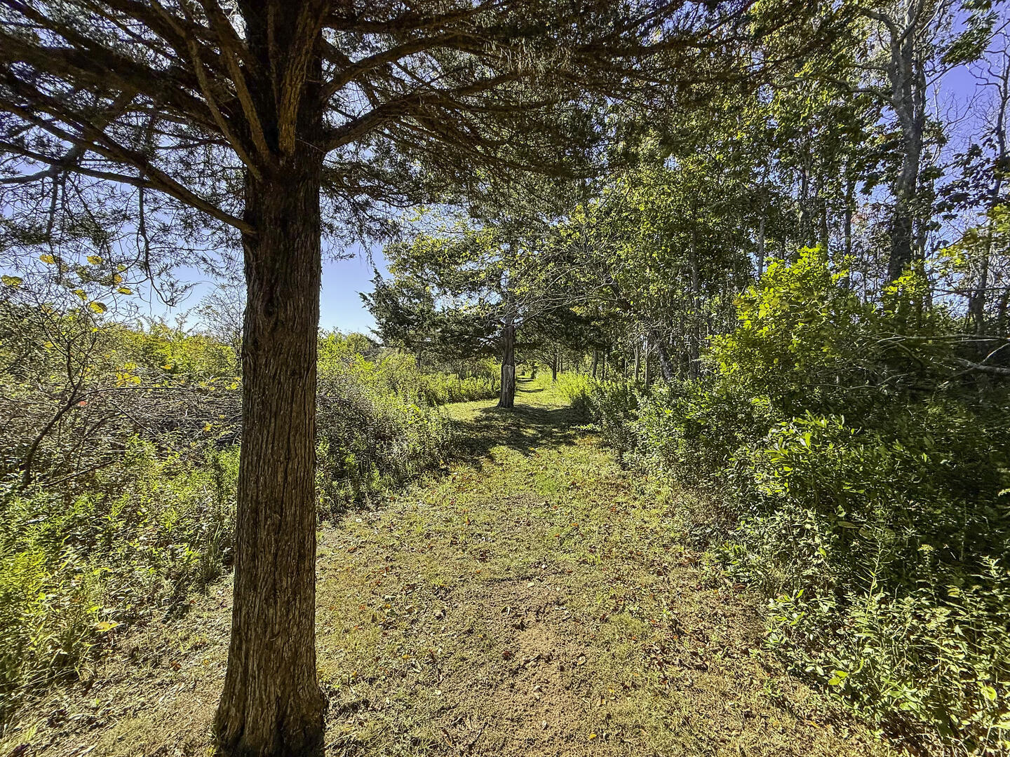 Path to the Shallow Water Dock