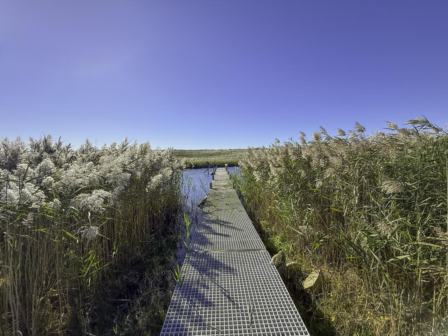 Path to the Shallow Water Dock