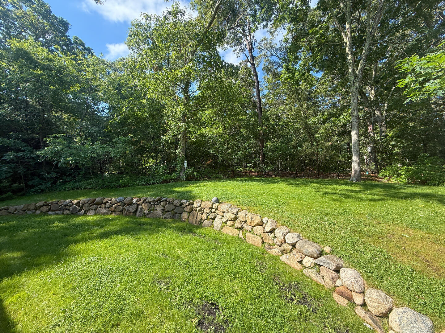 Yard