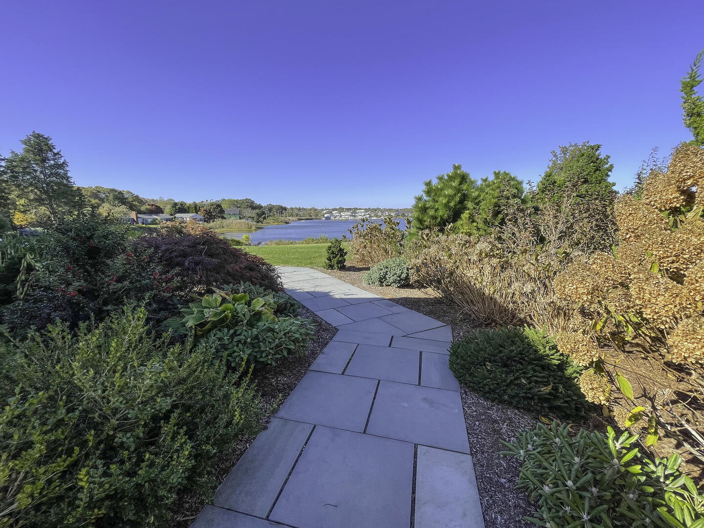 Path to the Backyard