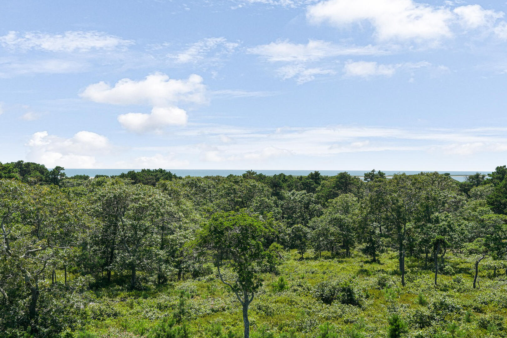 Waterview from Rooftop Deck