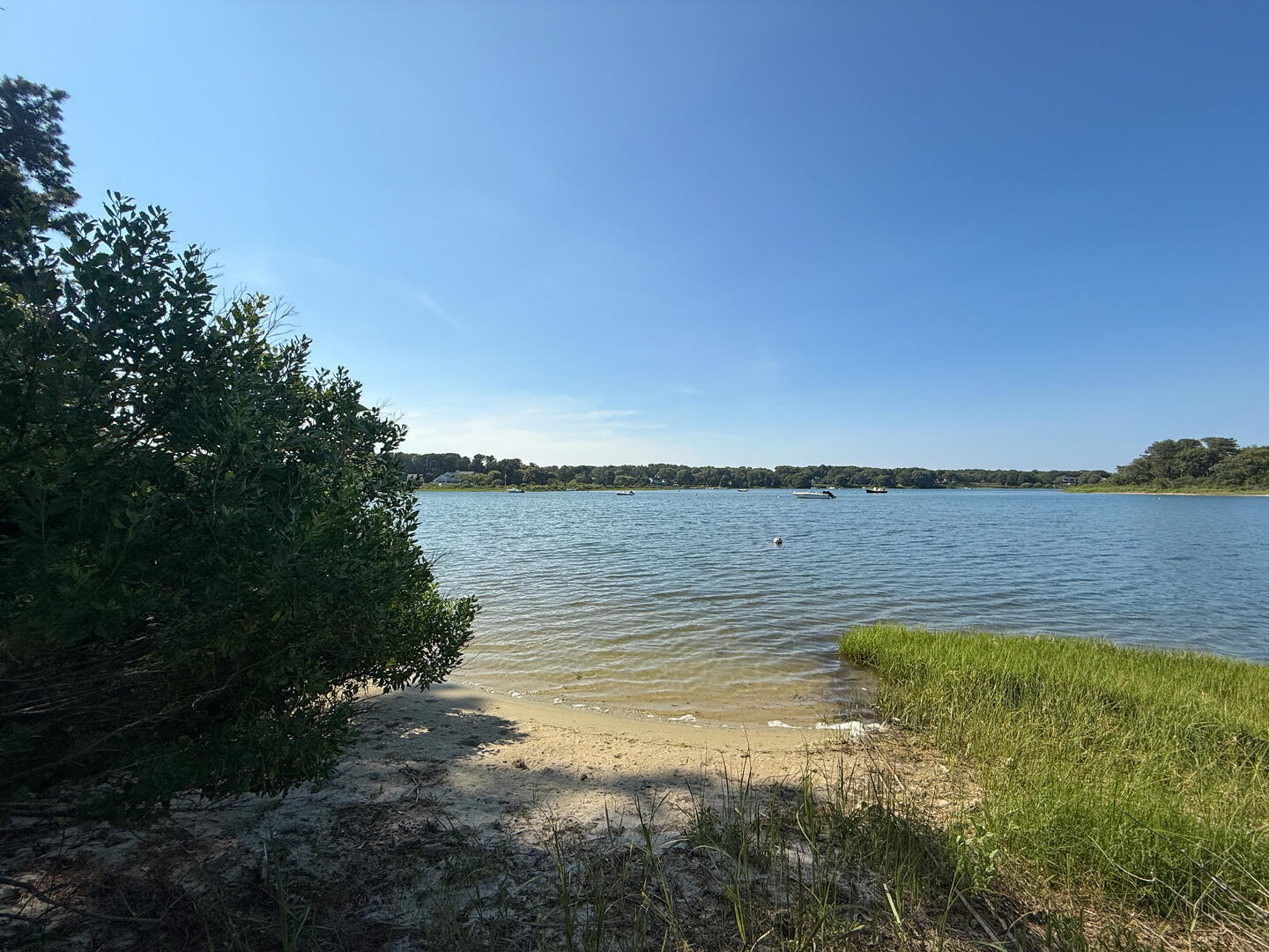 Majors Cove