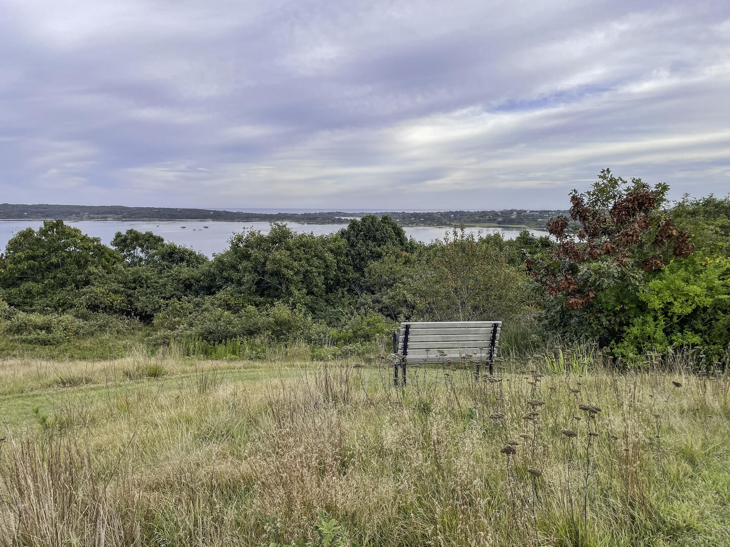 Bench to Capture the View