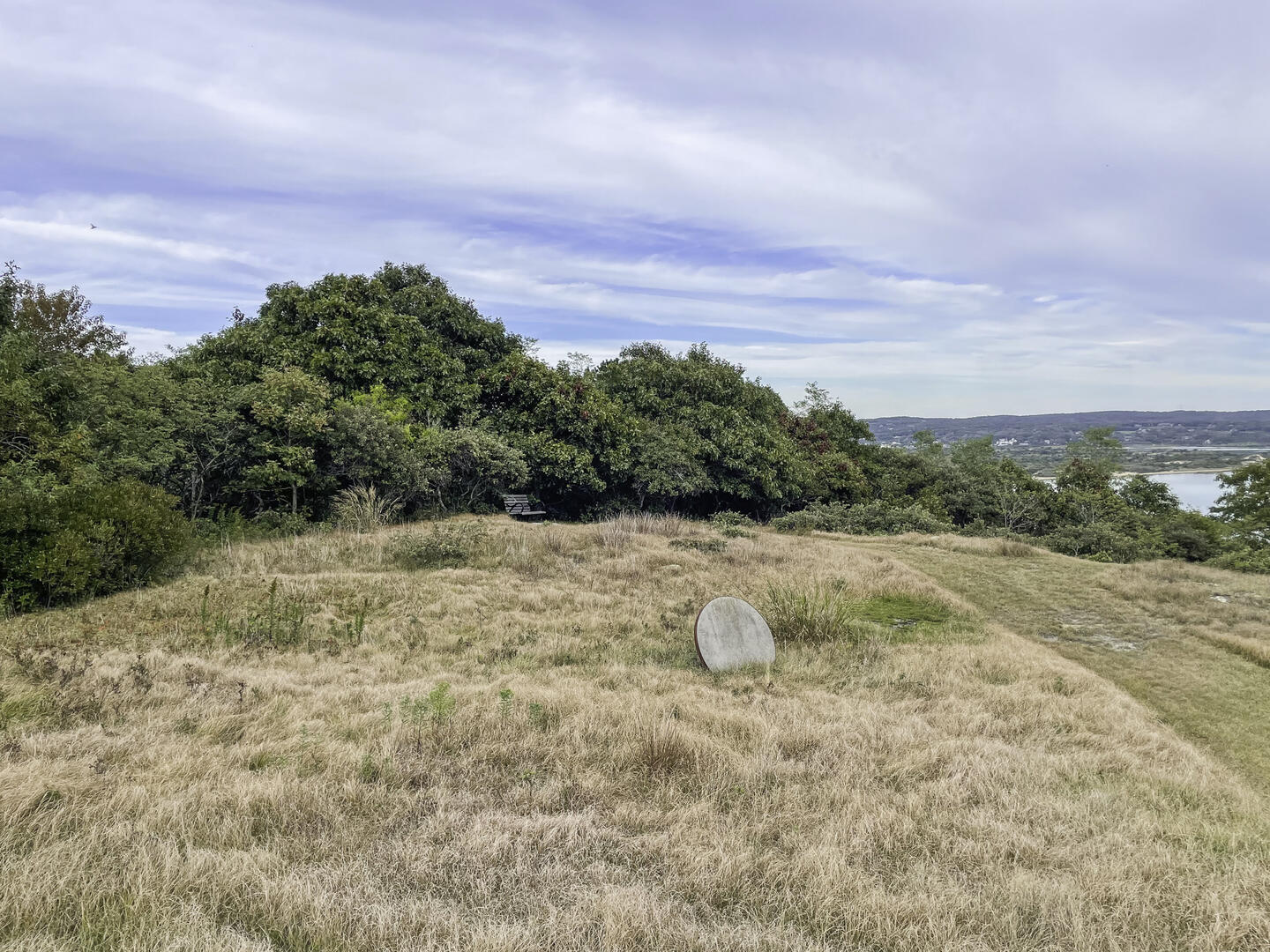 Bench to Capture the View