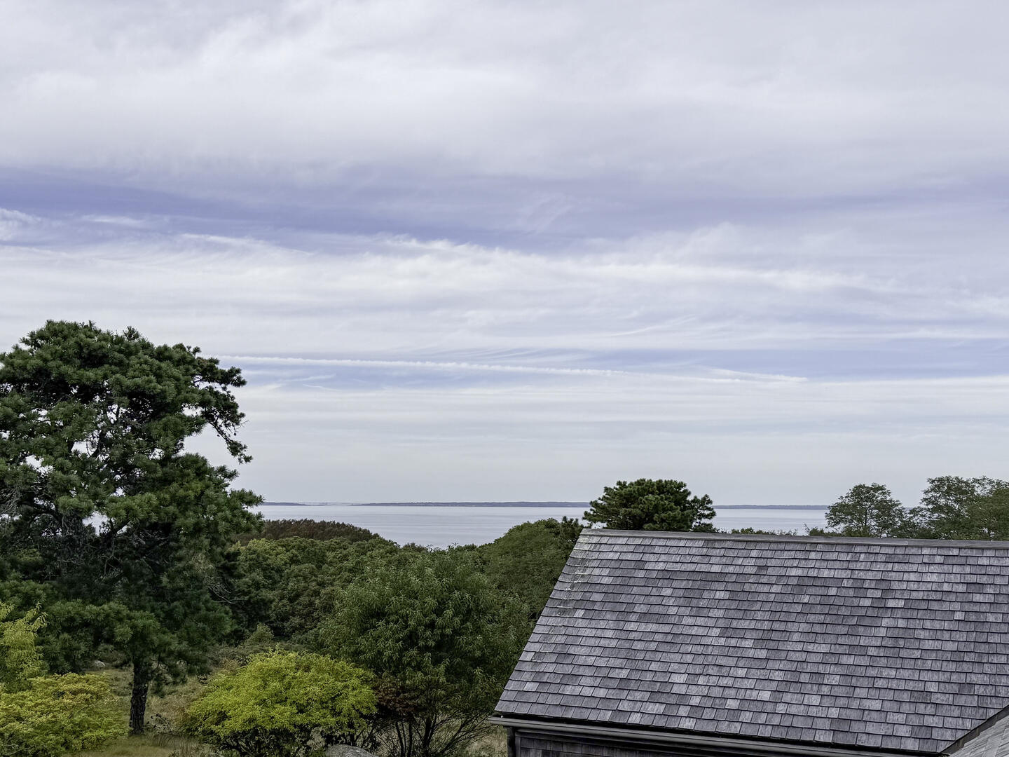 Top Deck Viewing Area