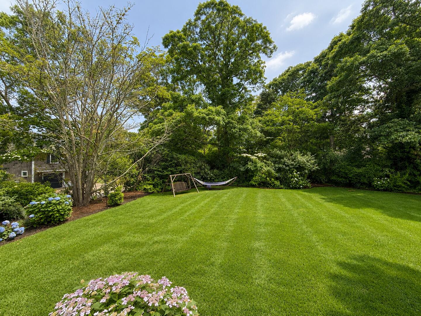 Yard