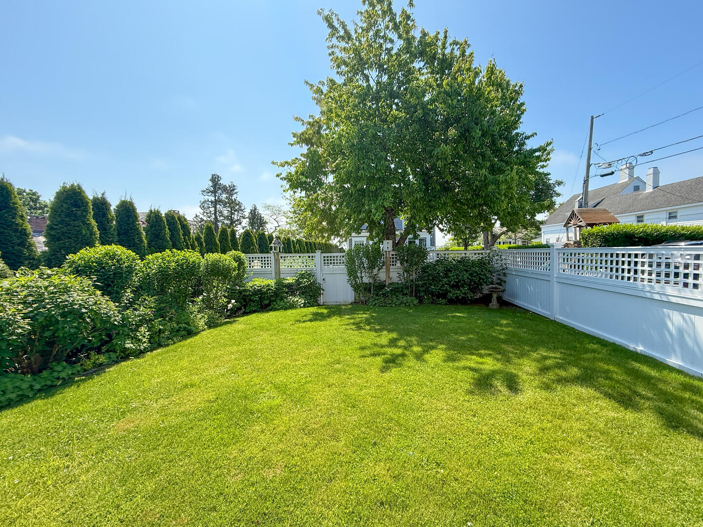 Yard