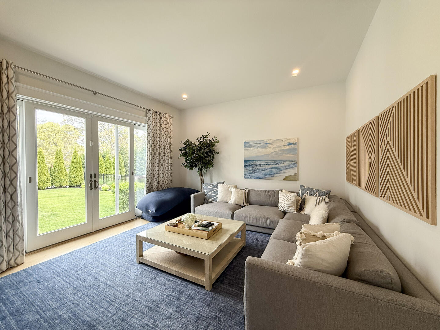 Living Room with a TV
