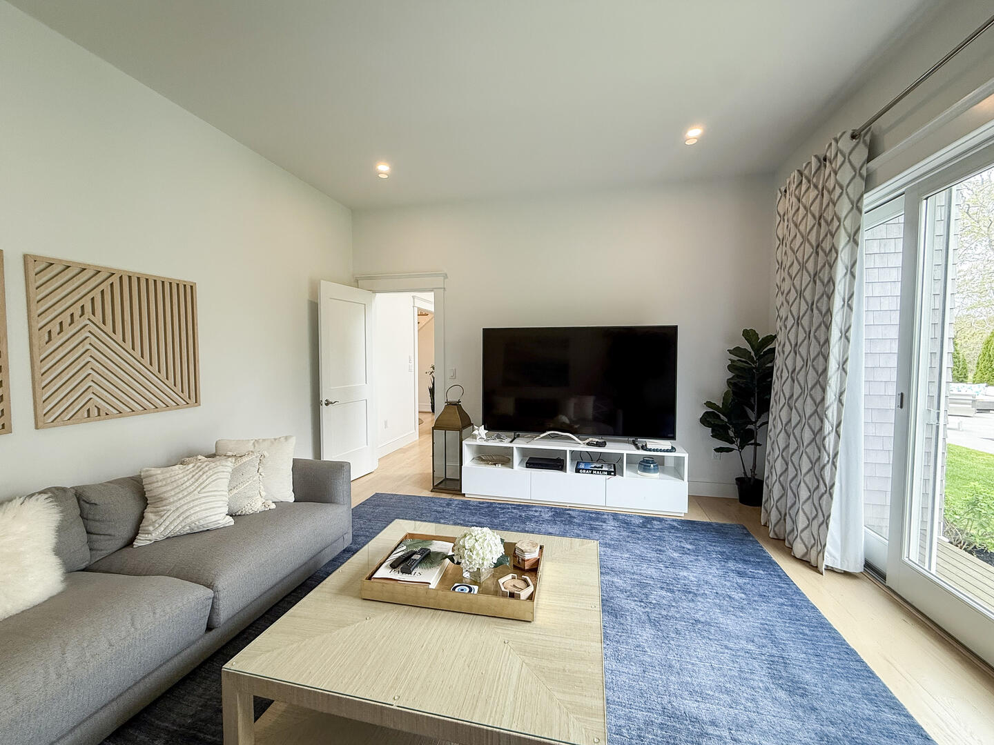 Living Room with a TV