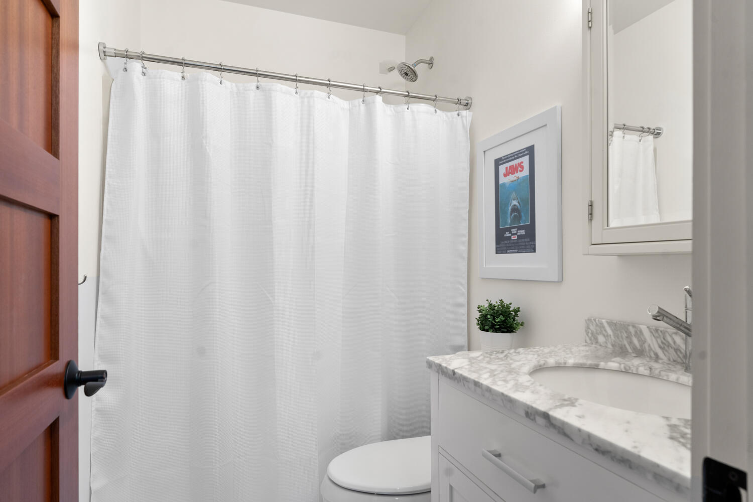 Hall Bath with a Shower Tub Combo