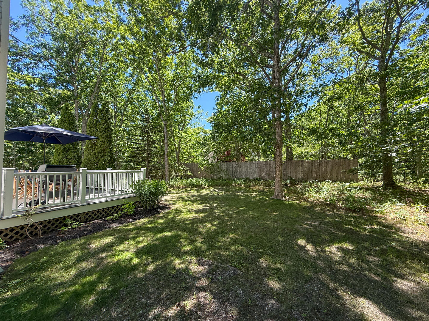 Yard