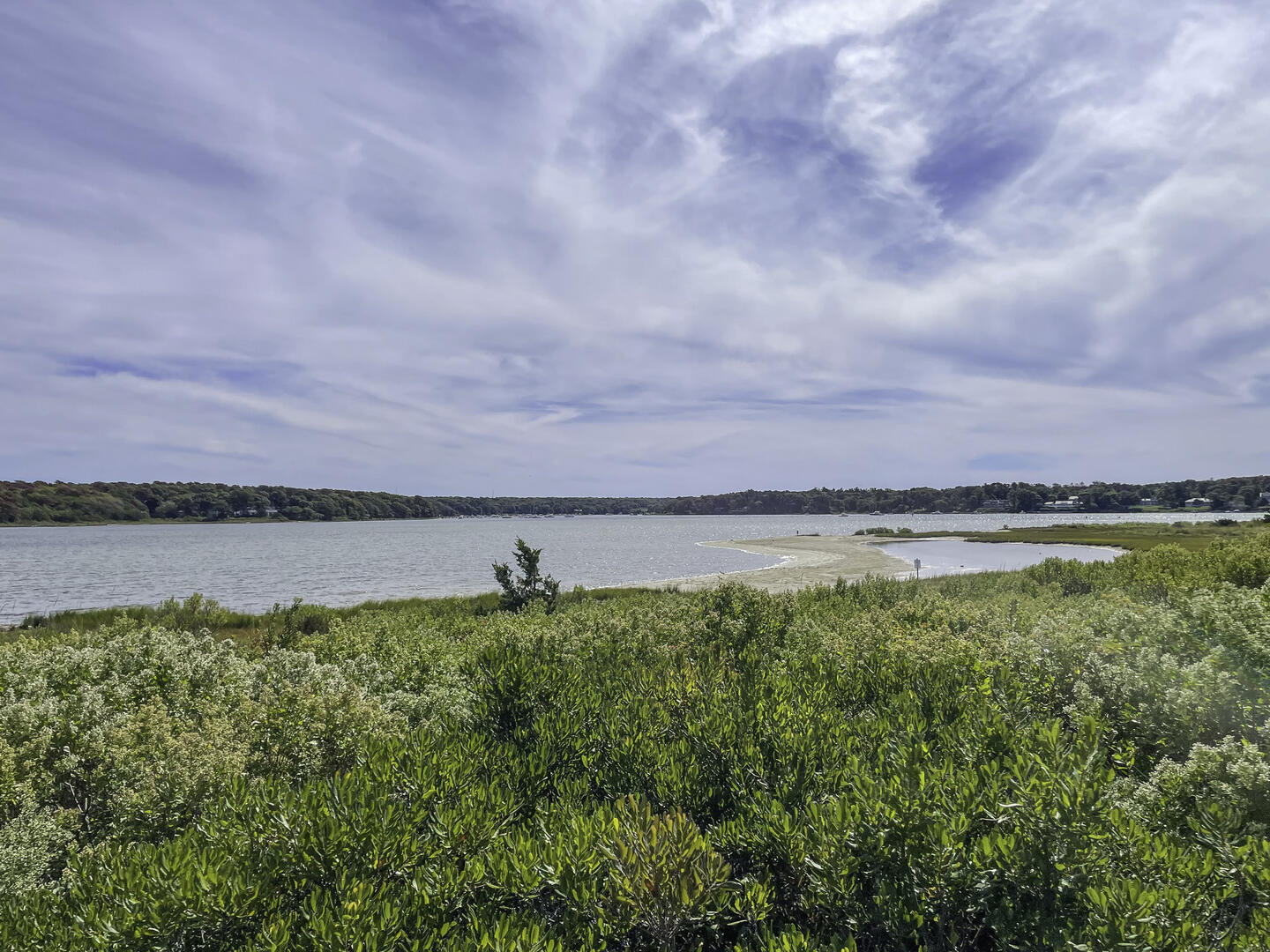 View From Front Yard