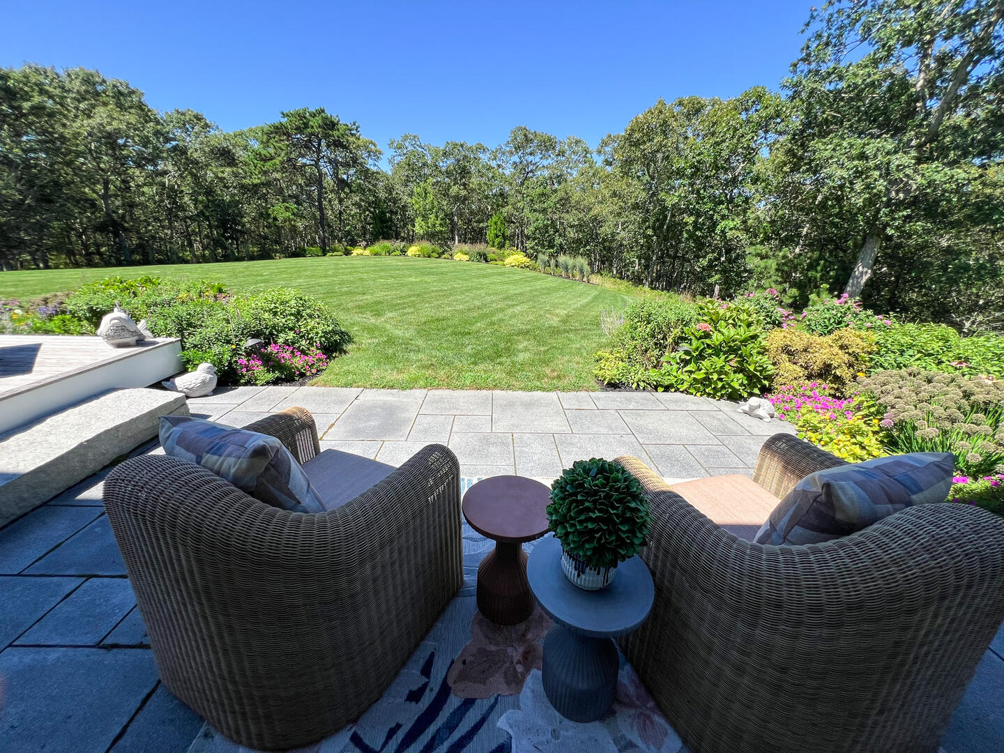 Yard View