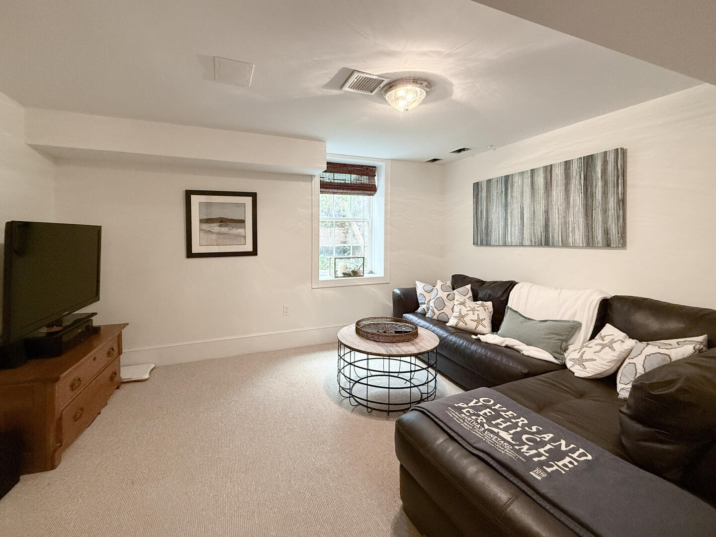 TV Area, Lower Level