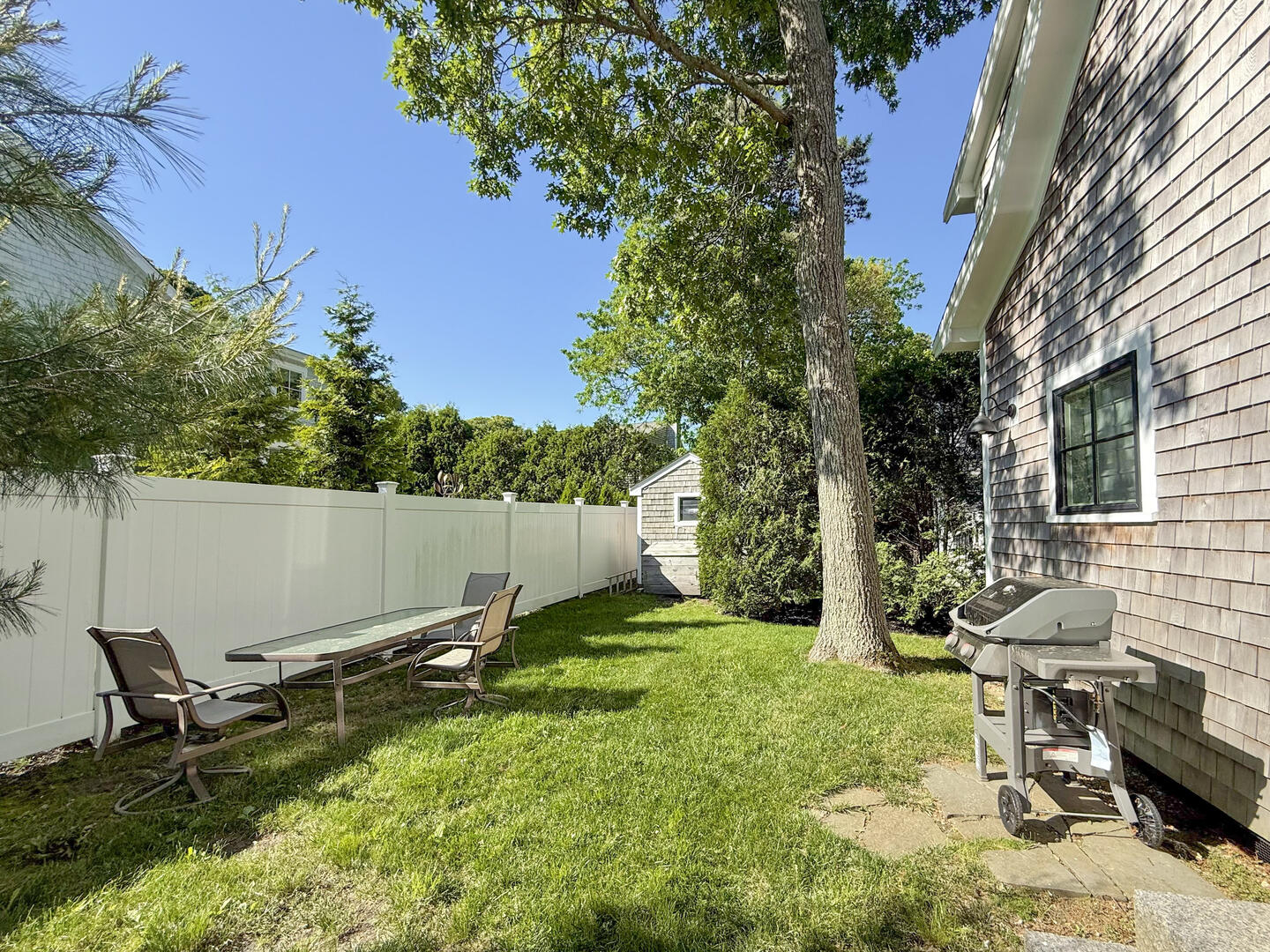 Backyard