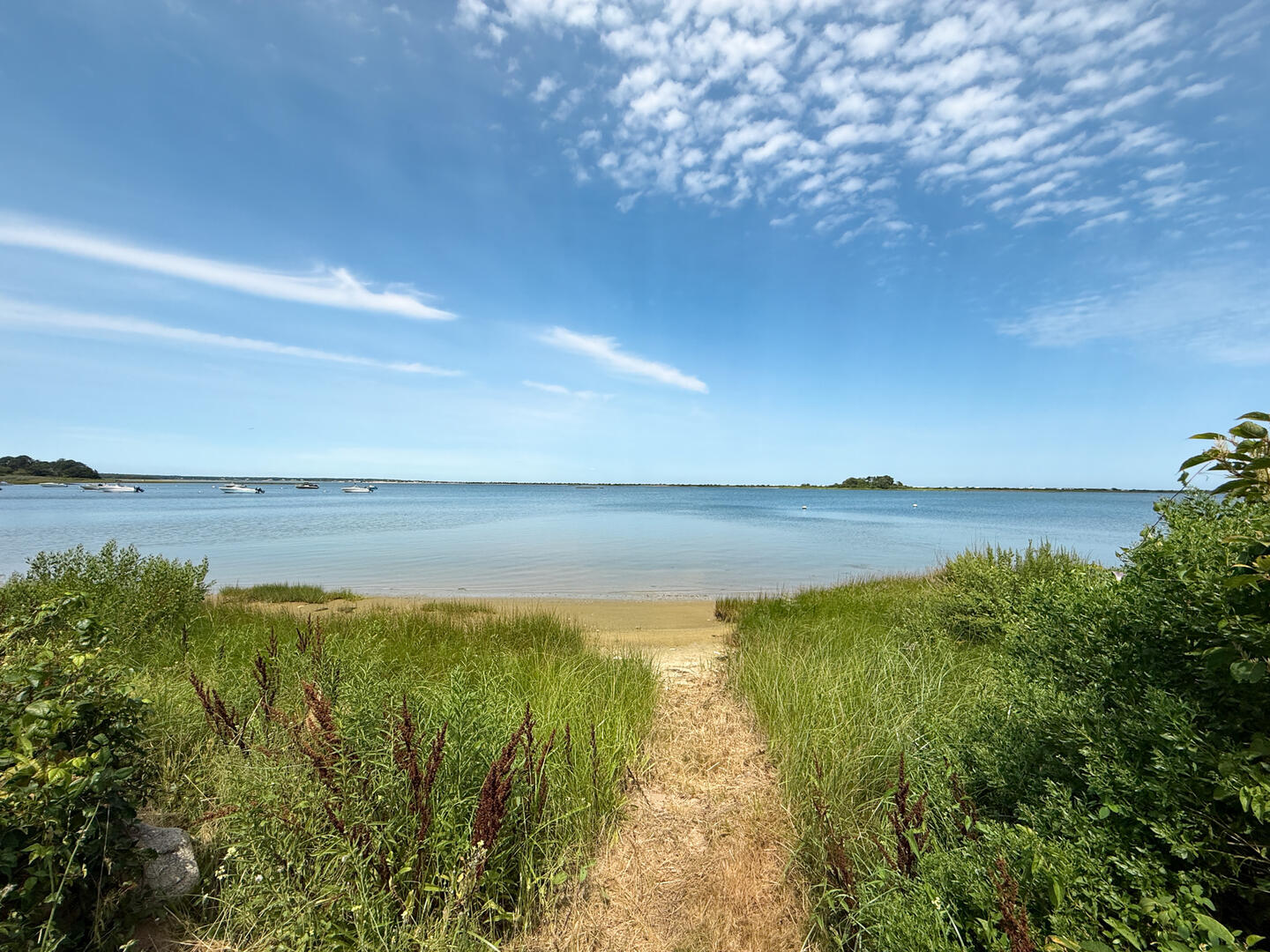 Beach View