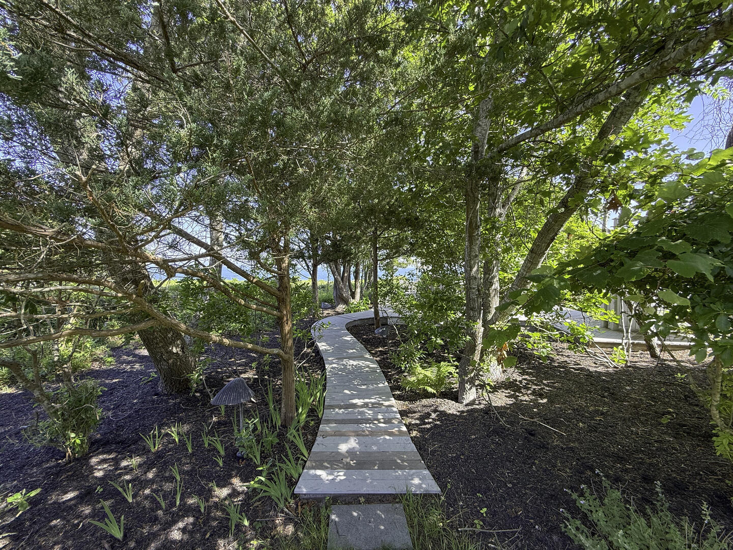 Path to Hot Tub