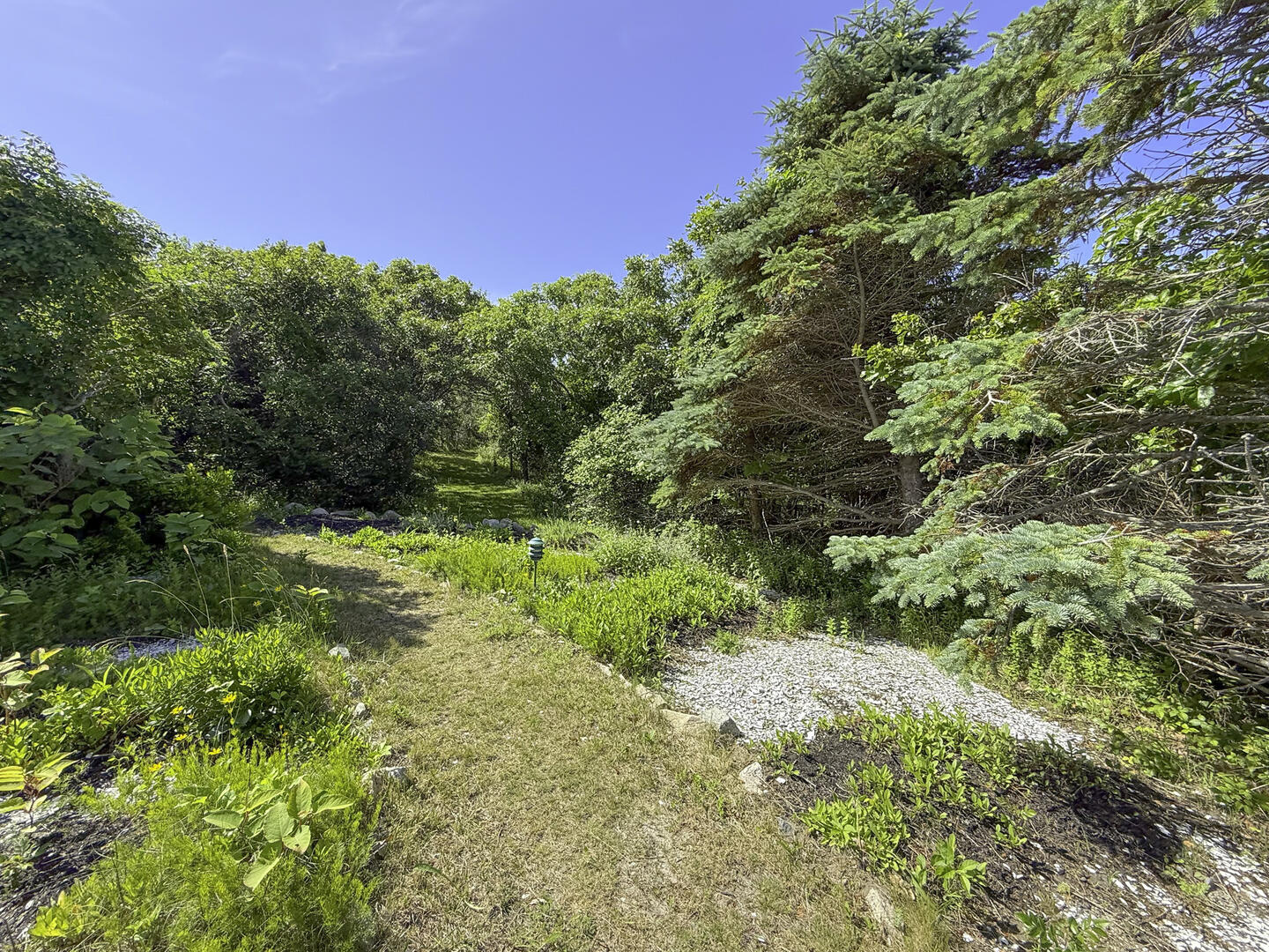 Path to the Beach