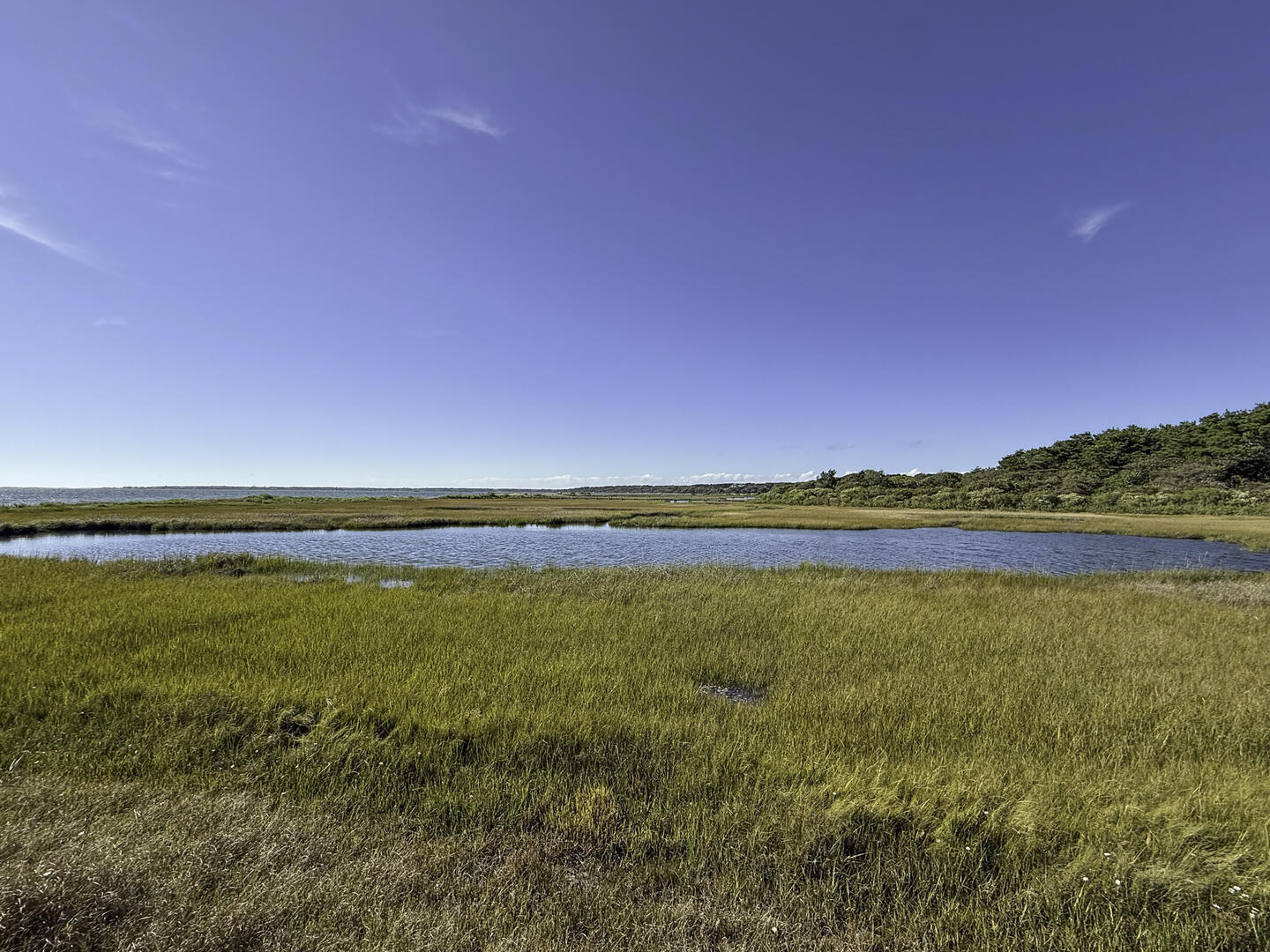 Shared Path to Beach Area
