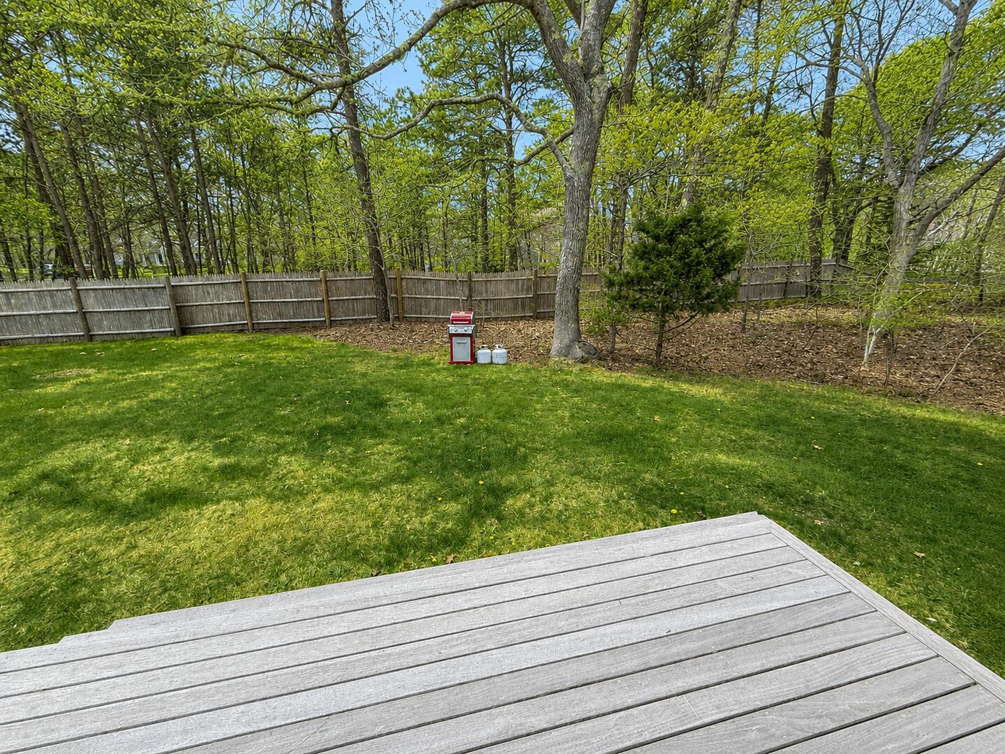 Yard