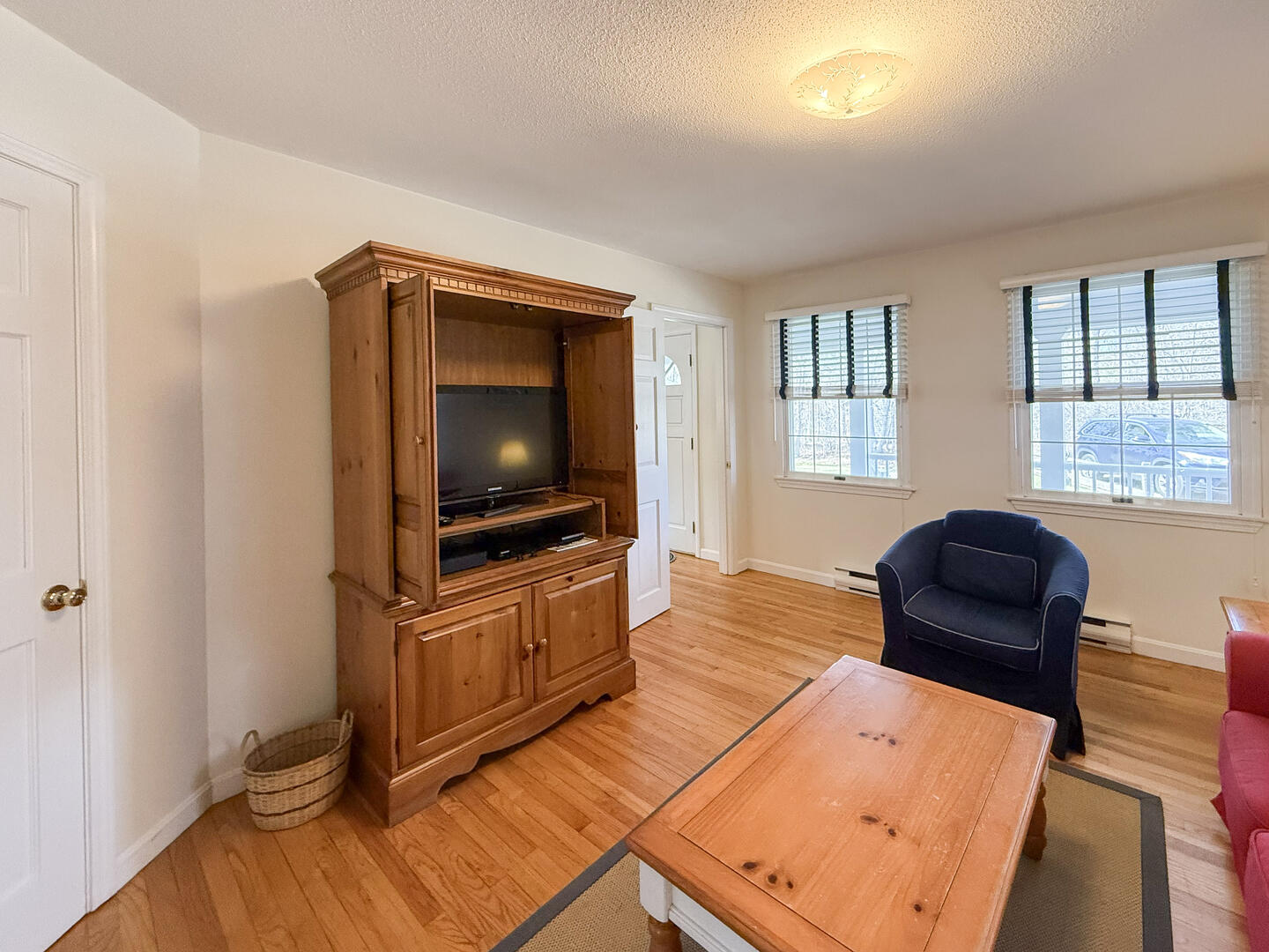 Den with a TV