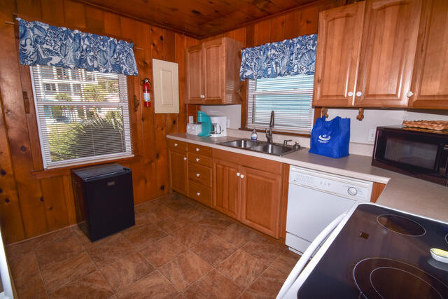 The Shell Too | Photo 12