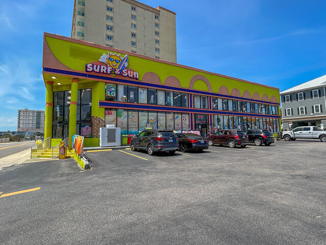 The Shell Too | Photo 42