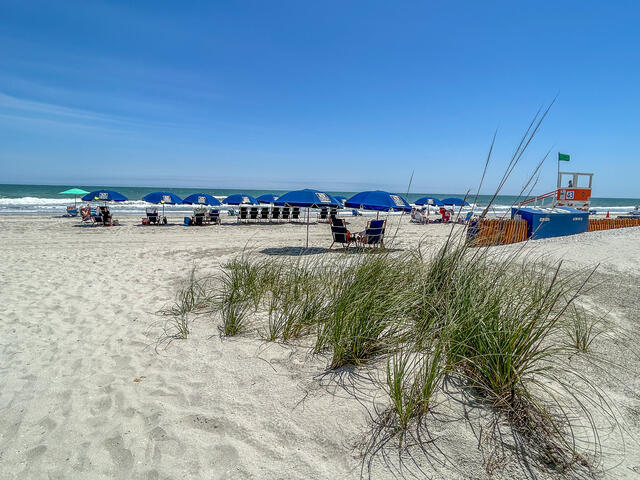 The Shell Too | Photo 39