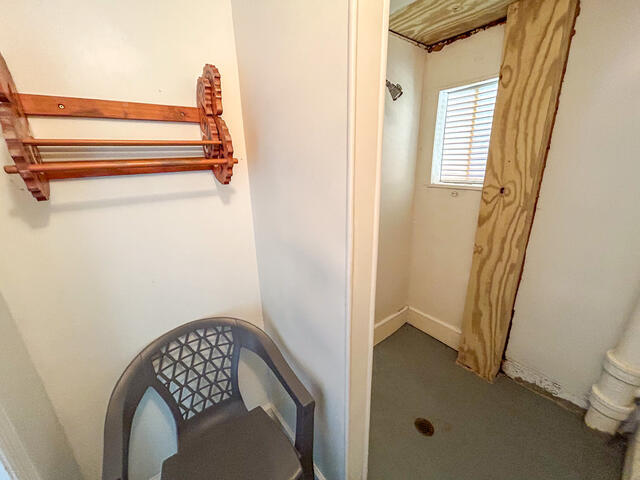 The Shell Too | Photo 33