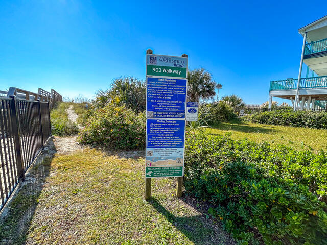 The Shell Too | Photo 35