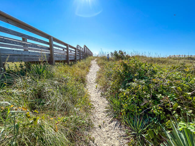 The Shell Too | Photo 37