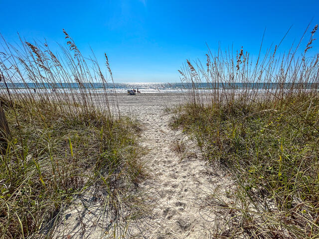 The Shell Too | Photo 38