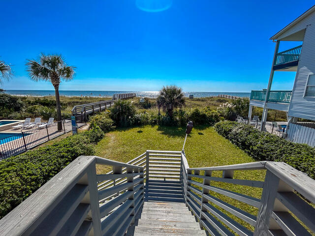 The Shell Too | Photo 19